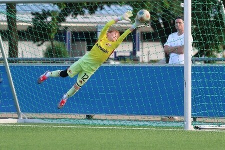 Cover Der Eiserne Handschuh Jahrgang 2016